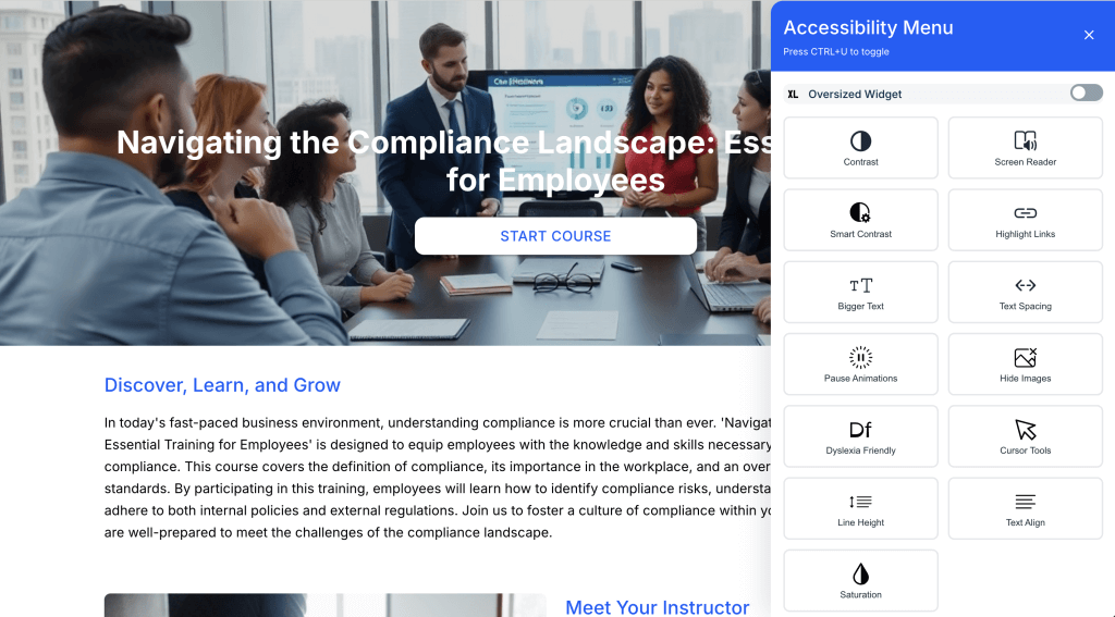 accessibility widget on learner interface
